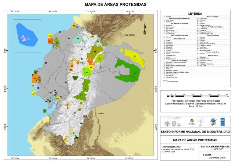 Reas Protegidas Eficaz Inabio