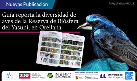 Guía reporta la diversidad de aves presentes en la Reserva de Biósfera del Yasuní, territorio correspondiente a Orellana