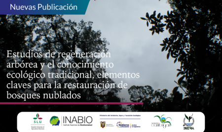 Importancia de los estudios de regeneración arbórea y el conocimiento ecológico tradicional de la población local como elementos claves para la restauración de bosques nublados en Ecuador