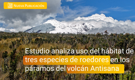 Estudio analiza el uso del hábitat de tres especies de roedores en los páramos del volcán Antisana