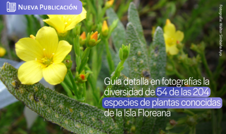 Guía detalla en fotografías la diversidad de 54 de las 204 especies de plantas conocidas de la Isla Floreana