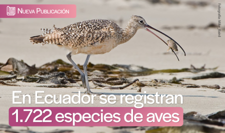 En Ecuador se registran un  total  de  1.722 especies de aves