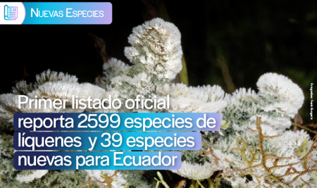 Ecuador reporta 2599 especies de líquenes y suma 39 especies nuevas