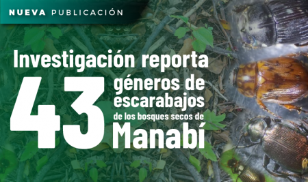 Investigación reporta 43 géneros de escarabajos de los bosques secos de Manabí