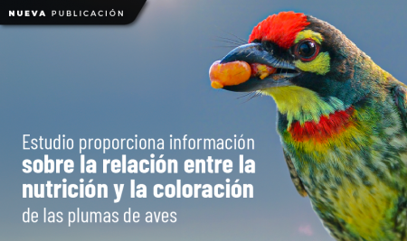Estudio proporciona información sobre la relación entre la nutrición y la coloración de las plumas de aves