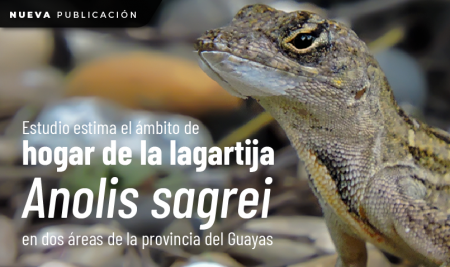 Estudio estima el ámbito de hogar  de la lagartija Anolis sagrei  en dos áreas de la provincia del Guayas