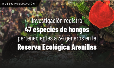 Investigación registra 47 especies  de hongos pertenecientes a 34 géneros en la Reserva Ecológica Arenillas