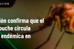 WEB