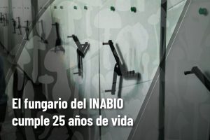 GRAFICA