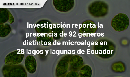 Investigación reporta la presencia de 92 géneros distintos de microalgas en 28 lagos y lagunas de Ecuador