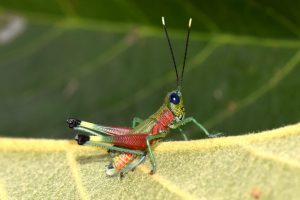 WhatsApp Image 2026-01-06 at 2.40.03 PM