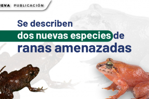 WEB 1 (1)