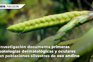 WEB 1