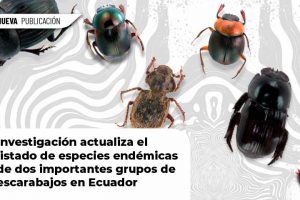 WEB 1