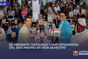 GRAFICA