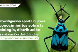 WEB 1