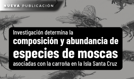 Investigación determina la composición y abundancia de especies de moscas asociadas con la carroña en la Isla Santa Cruz