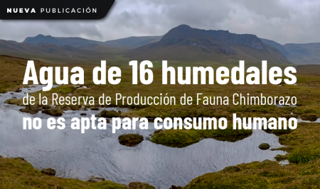 Agua de 16 humedales de la Reserva de Producción de Fauna Chimborazo no es apta para consumo humano