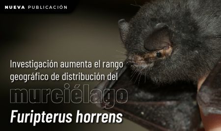 Investigación aumento en el rango geográfico de distribución del murciélago Furipterus horrens