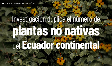 Investigación duplica el número de plantas no nativas del Ecuador continental