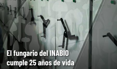 El fungario del INABIO cumple 25 años de vida