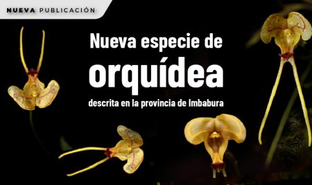 Se describe nueva especie de orquídea en la provincia de Imbabura