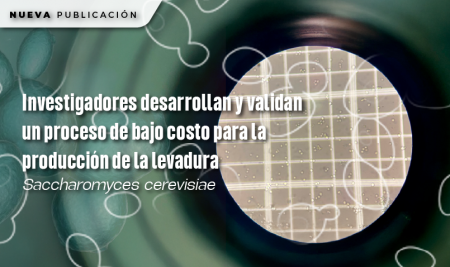 Investigadores desarrollan y validan un proceso de bajo costo para la producción de la levadura Saccharomyces cerevisiae