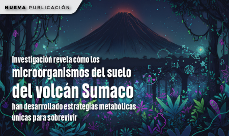 Investigación revela cómo los microorganismos del suelo del volcán Sumaco han desarrollado estrategias metabólicas únicas para sobrevivir