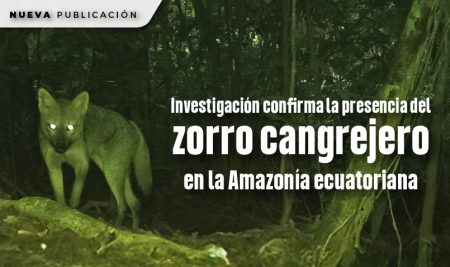Investigación confirma la presencia del zorro cangrejero en la Amazonía ecuatoriana