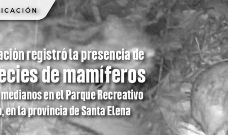 Investigación registró la presencia de 11 especies de mamíferos grandes y medianos en el Parque Recreativo Testlab, en la provincia de Santa Elena