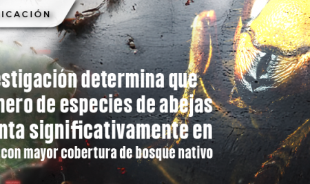 Investigación determina que el número de especies de abejas aumenta significativamente en paisajes con mayor cobertura de bosque nativo