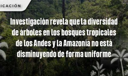 Investigación revela que la diversidad de árboles en los bosques tropicales de los Andes y la Amazonía no está disminuyendo de forma uniforme
