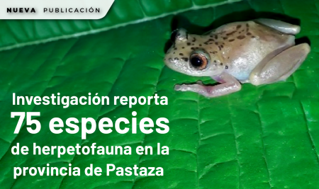 Investigación reporta 75 especies de herpetofauna en la provincia de Pastaza
