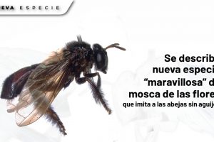 WhatsApp Image 2026-04-20 at 12.02.14 PM