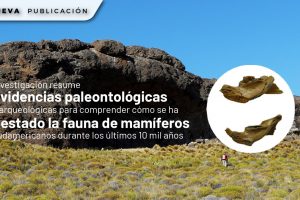 WhatsApp Image 2026-04-24 at 9.29.10 AM