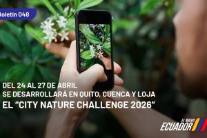 WhatsApp Image 2026-04-24 at 9.31.11 AM