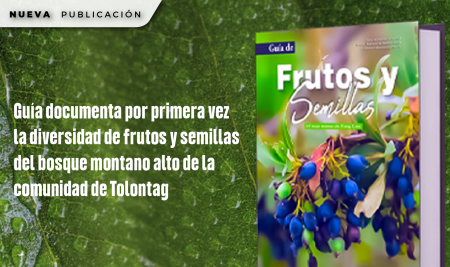 Guía documenta por primera vez la diversidad de frutos y semillas del bosque montano alto de la comunidad de Tolontag
