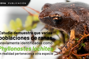 WEB 1
