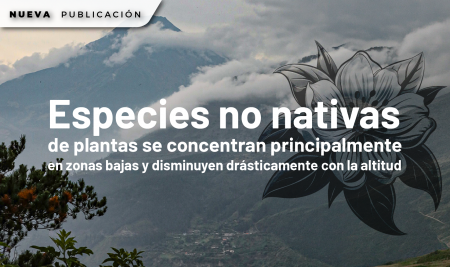 Especies no nativas de plantas se concentran principalmente en zonas bajas y disminuyen drásticamente con la altitud