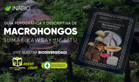 Se publica “Guía fotográfica y descriptiva de Macrohongos Sumak Kawsay In Situ”