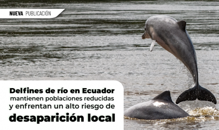 Delfines de río en Ecuador mantienen poblaciones reducidas y enfrentan un alto riesgo de desaparición local