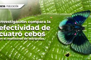 WEB 1