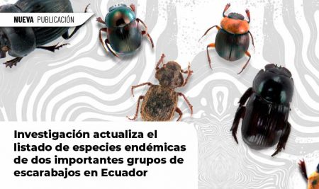 Investigación actualiza el listado de especies endémicas de dos importantes grupos de escarabajos en Ecuador