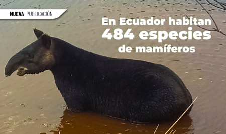 En Ecuador habitan 484 especies de mamíferos