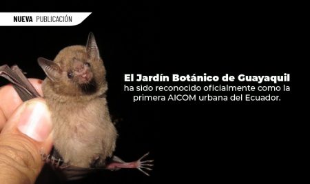El Jardín Botánico de Guayaquil ha sido reconocido oficialmente como la primera Área de Importancia para la Conservación de Murciélagos