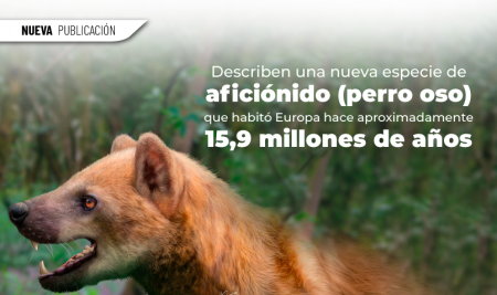 Investigadores describen una nueva especie de “perro oso” que habitó Europa hace aproximadamente 15,9 millones de años