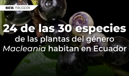 24 de las 30 especies de las plantas del género Macleania habitan en Ecuador