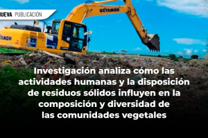 WEB 1
