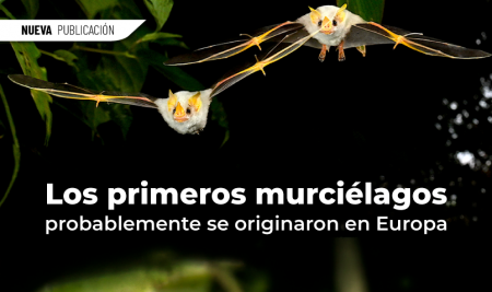 Los primeros murciélagos probablemente se originaron en Europa