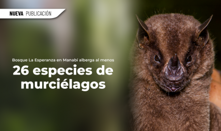 Bosque La Esperanza en Manabí alberga al menos 26 especies de murciélagos